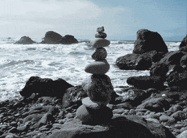  Animated Gif on Giphy