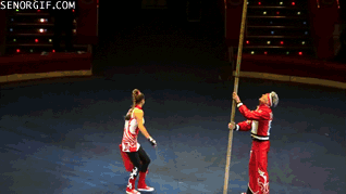 Risk taking at Circus