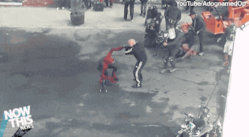  Animated Gif on Giphy