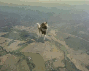 pulo do gato