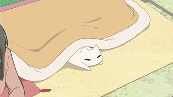 Anime Anime Cat animated GIF