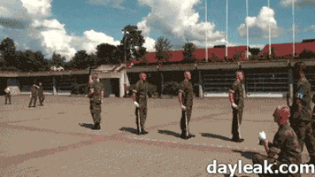 Practice Rgifs animated GIF