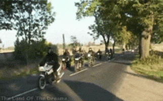 Gifs Animated Gifs Page 2