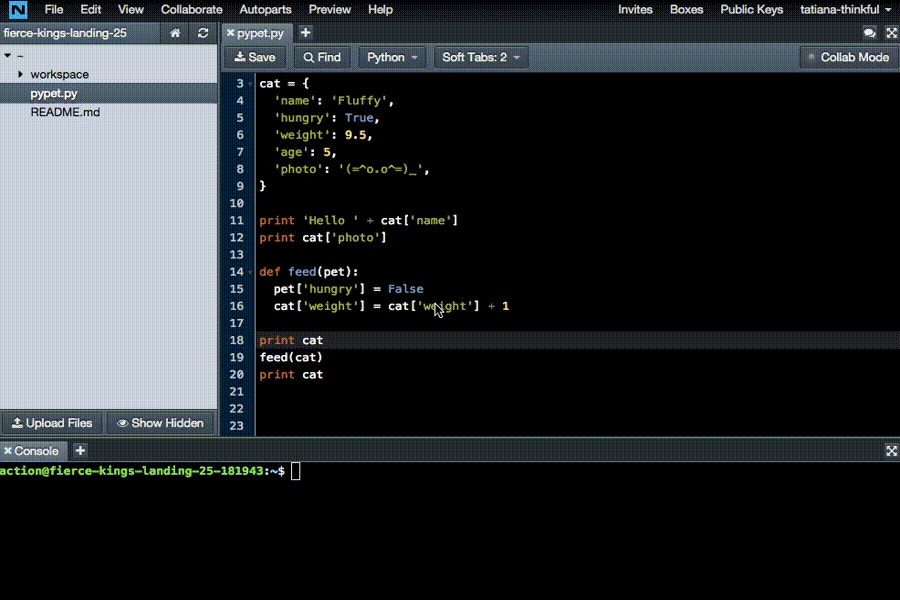 python gif - find & share on giphy