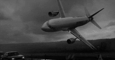 Airplane Airplane Crash animated GIF
