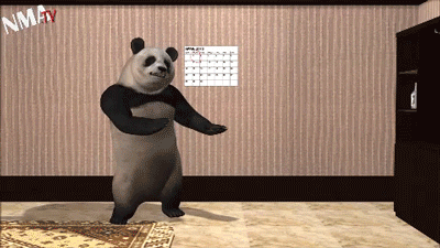angry panda gif tumblr