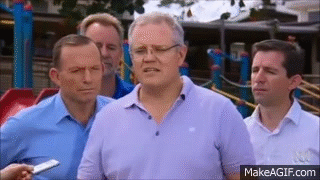 Good boy scott