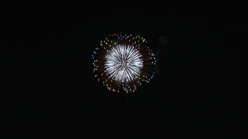 fireworks new years fourth of july animated GIF
