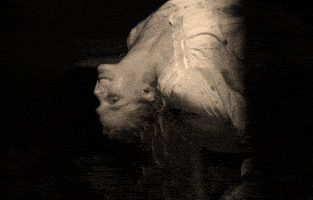 200.gif