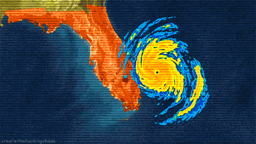 hurricane proof windows