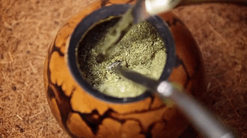 Yerba mate