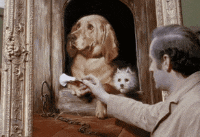 200.gif