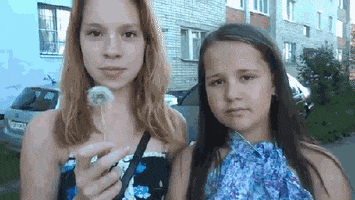 Dandelion Fail animated GIF