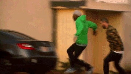 giphy.gif