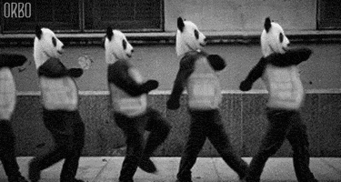 marching pandas