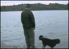 Dog Fail animated GIF