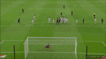 Kick Lionel animated GIF