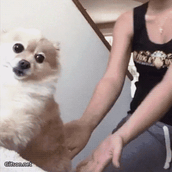 Trust Fall