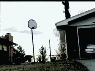giphy.gif