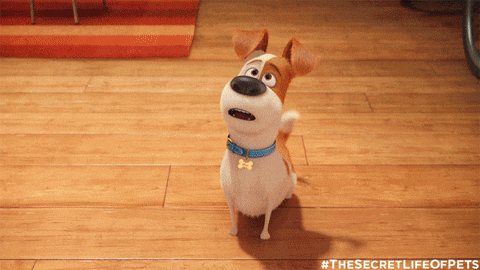 "Life of Pets" August 11 (Sun) Movies at the Mariana! -Seattle