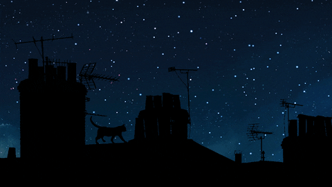 Pin On Under The Midnight Sky2