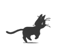 Cartoon Cat animated GIF