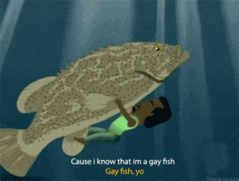 yeezy gay fish