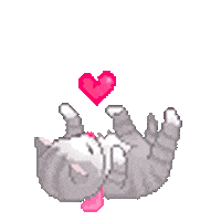 Cat Heart animated GIF
