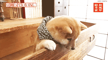 dogbook bestworst park pick lines dogbook bestworst park pick lines
