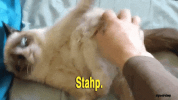 200.gif
