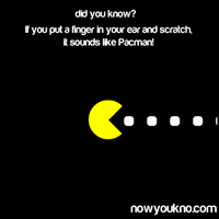 Pacman Video Games animated GIF