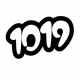 1019_records