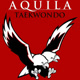 AquilaTaekwondo