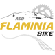 AsdFlaminiaBike