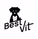 BestVitGmbH