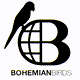 Bohemianbirds