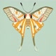 Bretodeau