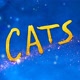 Cats Movie Avatar