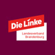 Die_Linke_Brandenburg