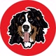 Dogbitebv