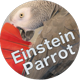 EinsteinParrot