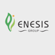 EnesisGroup