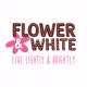 FlowerAndWhite