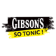 Gibsonsgin