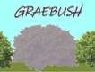 GraeBush