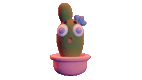 HICACTUS