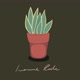 Ivonne_Rode