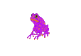 Lizard84
