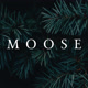 Moose-design