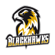 MuensterBlackhawks